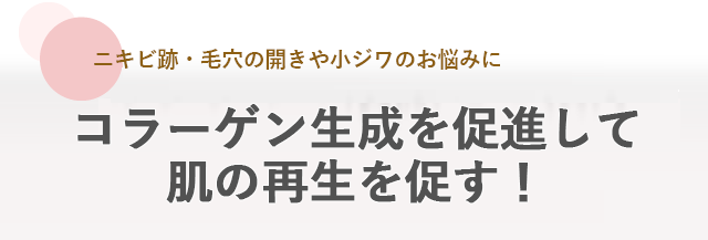 ダーマペン４のサブタイトル